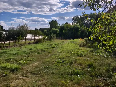 teren generos casa vanzare-cumparare Siliștea Snagovului Ilfov